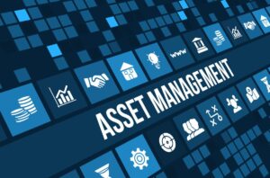 Professional Asset Management Services
